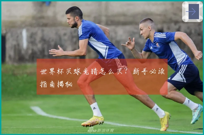 世界杯买球竞猜怎么买？新手必读指南揭秘