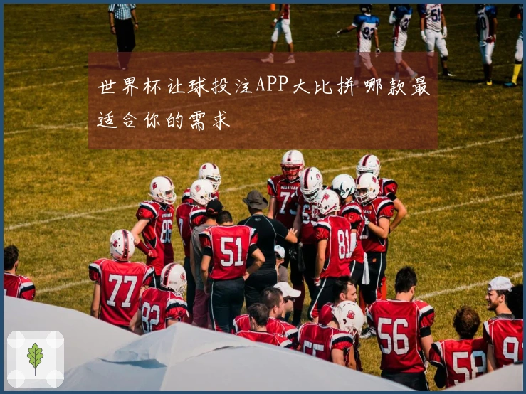 世界杯让球投注APP大比拼 哪款最适合你的需求
